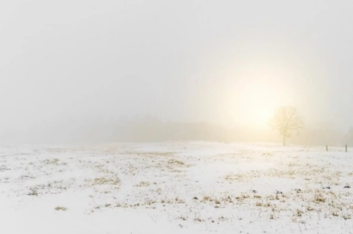    В Тверской области нашли 35 га заросших пастбищ
