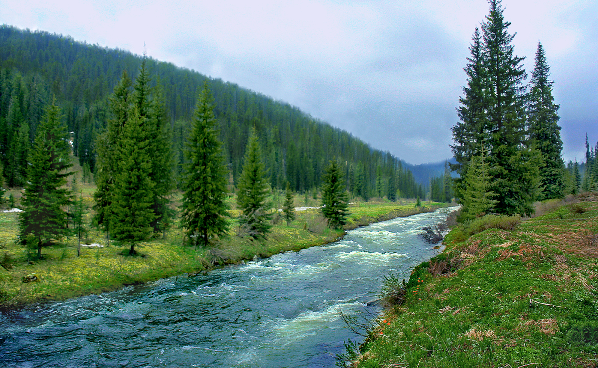 Фотография, стихотворение Василия Глуцкого