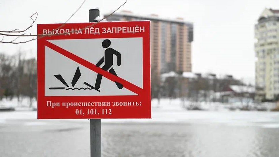 Фото: пресс-служба администрации Краснодара