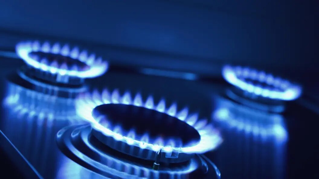    фото: Simon Belcher/imageBROKER.com/Globallookpress