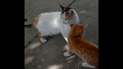 Хочется поиграть с мамой