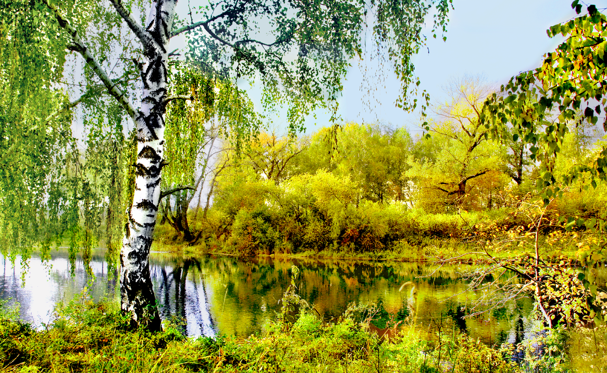 Фотография, стихотворение Василия Глуцкого