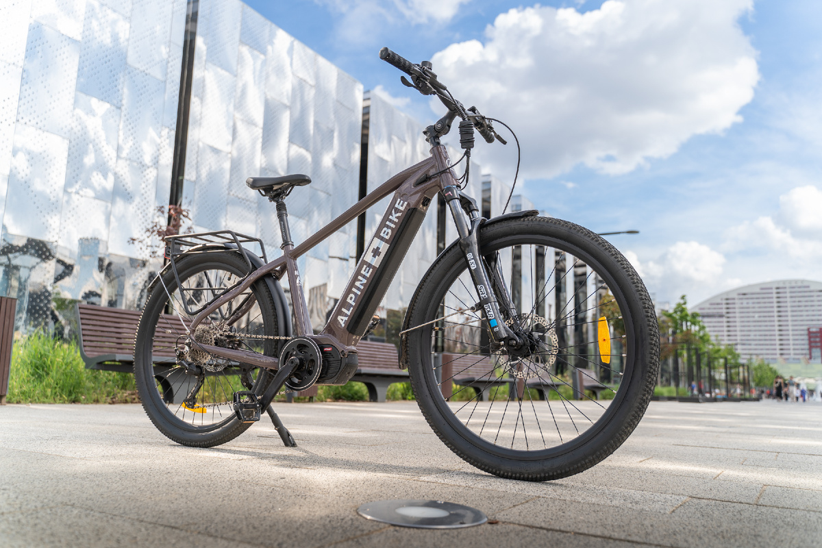 Alpinebike Dammastock