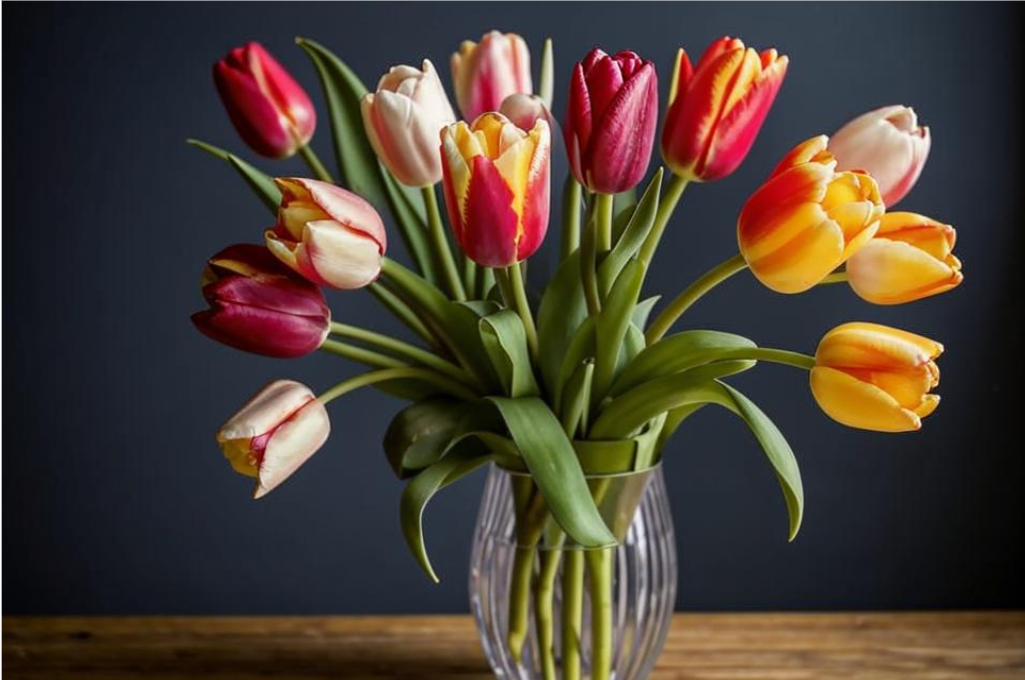 Тюльпаны на 8 Марта