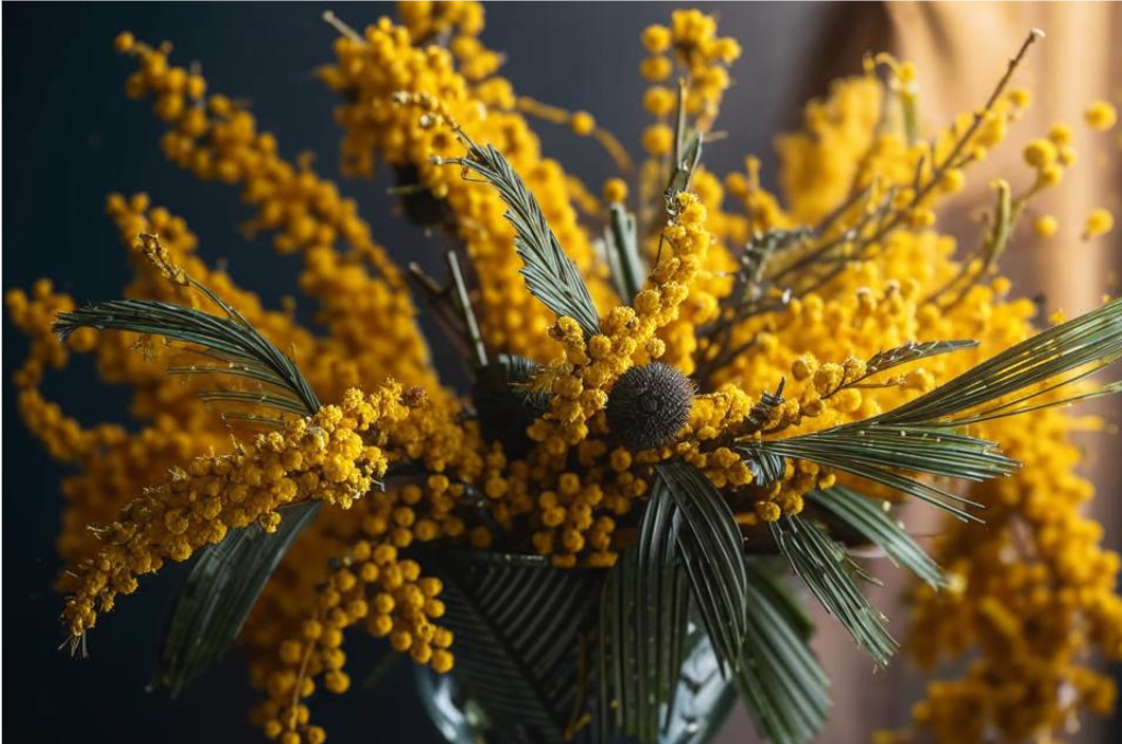 Мимозы на 8 Марта