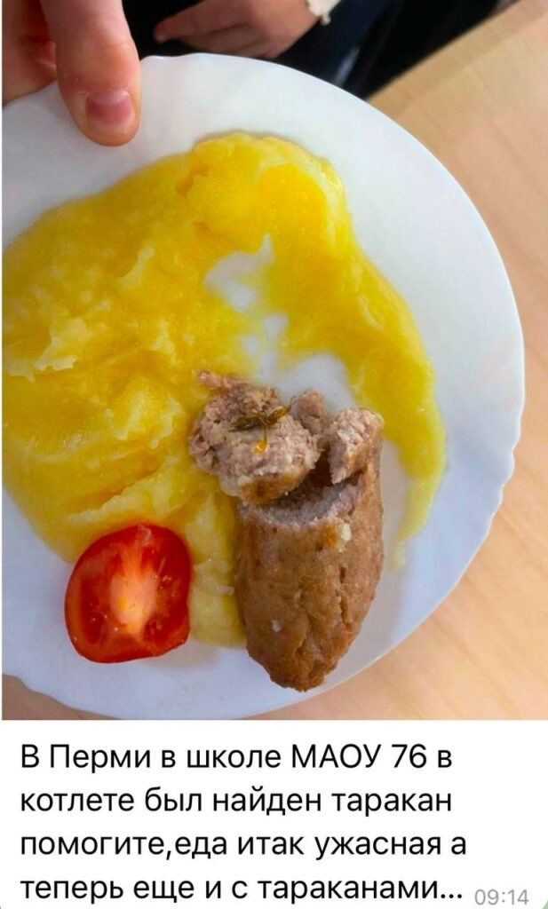    Фото: Екатерина Мизулина / ТГ Полина Анкушина