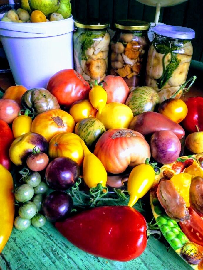 Фото 2021 года