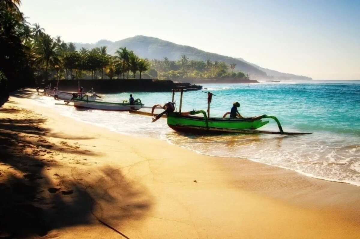    Посольство РФ: случаев массового заражения лихорадкой денге в Индонезии нет