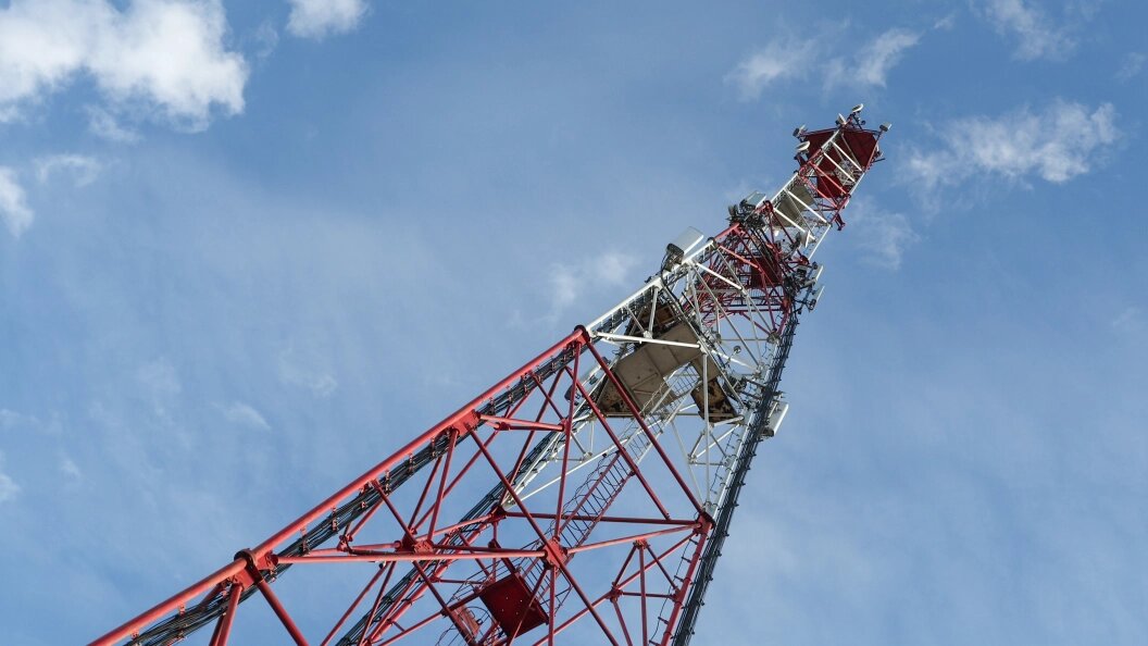    Фото: Shatokhina Natalia/Globallookpress