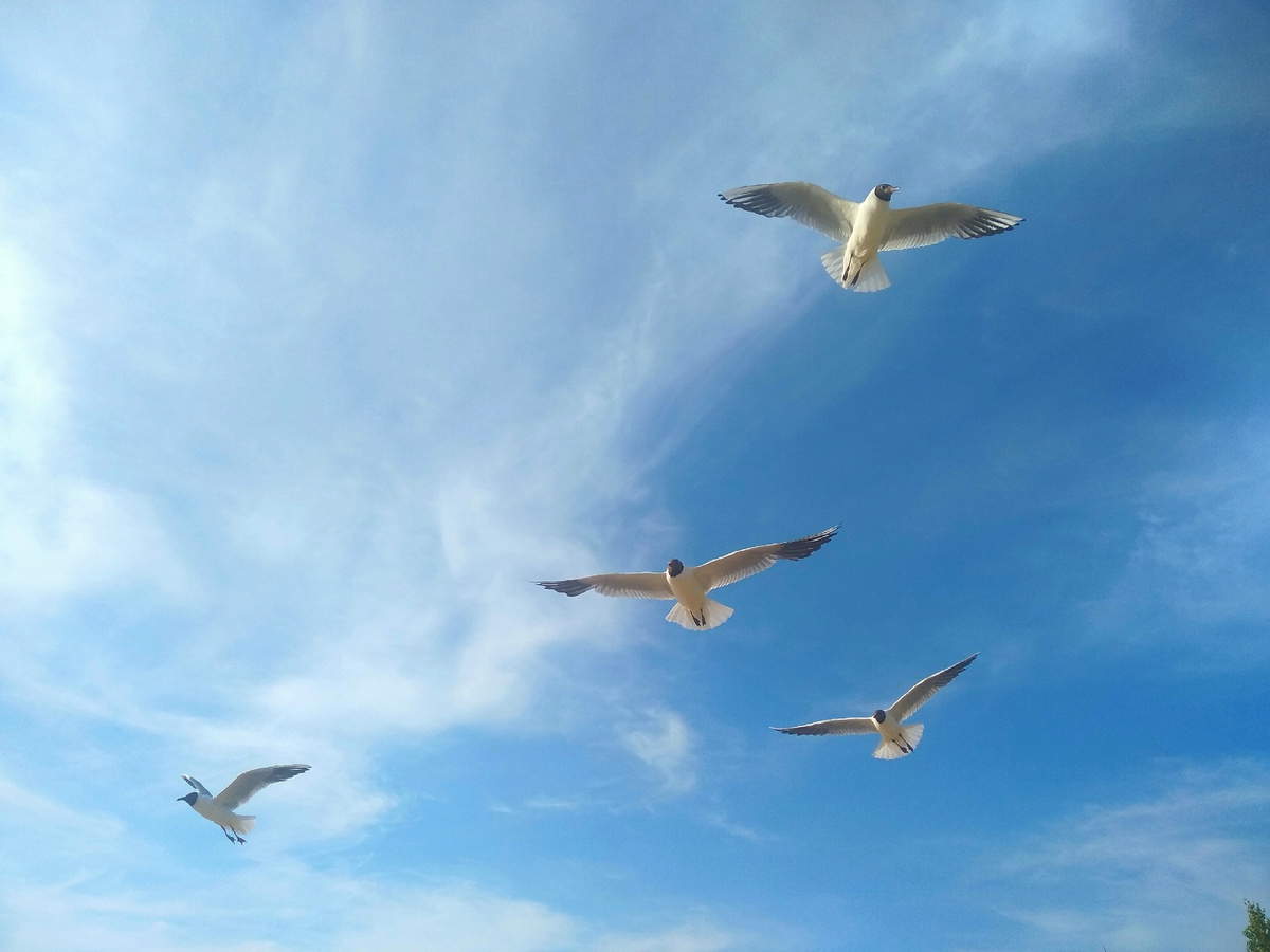 Все проходит в этом мире, снег сменяется дождем,
Все проходит, все проходит, мы пришли, и мы уйдем.
Все проходит и уходит в никуда из ничего.
Все проходит, но бесследно не проходит ничего.

Юрий Левитанский

