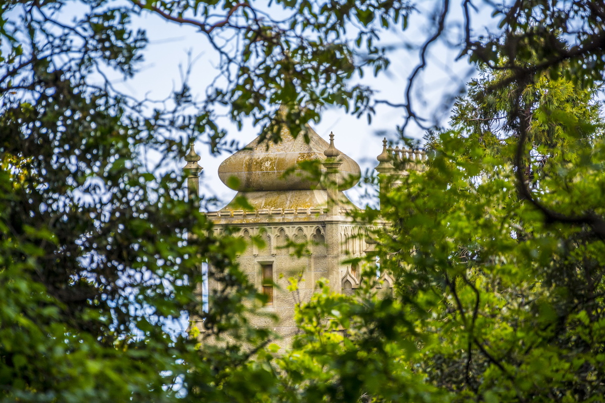 А вот и сам дворец. Фото Сергея Малышева.