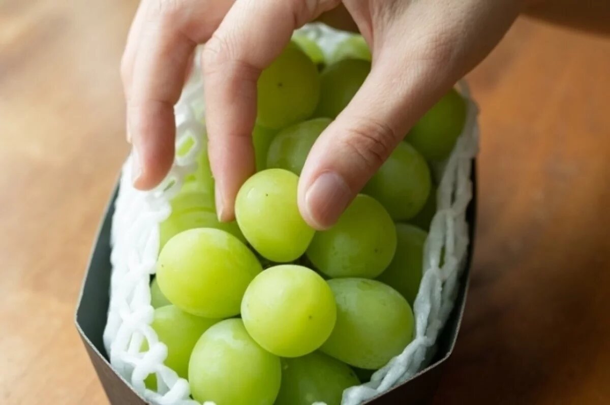    Виноград сорта «Шайн мускат».