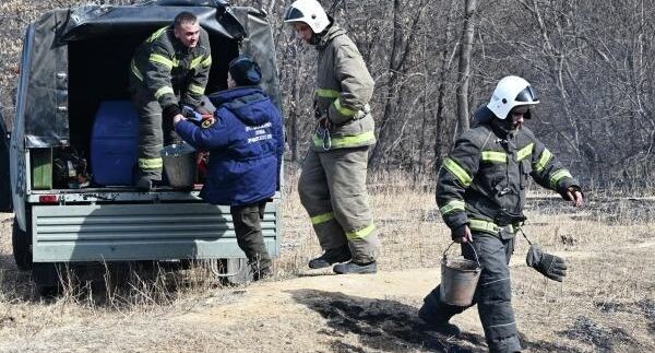    РИА «Новости»