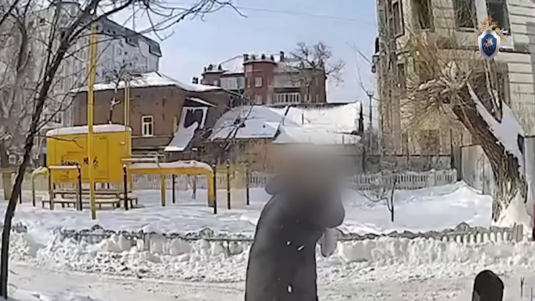    В Оренбурге на девушку упал кусок льда с крыши дома. СК возбудил уголовное дело Кристина Просвиркина