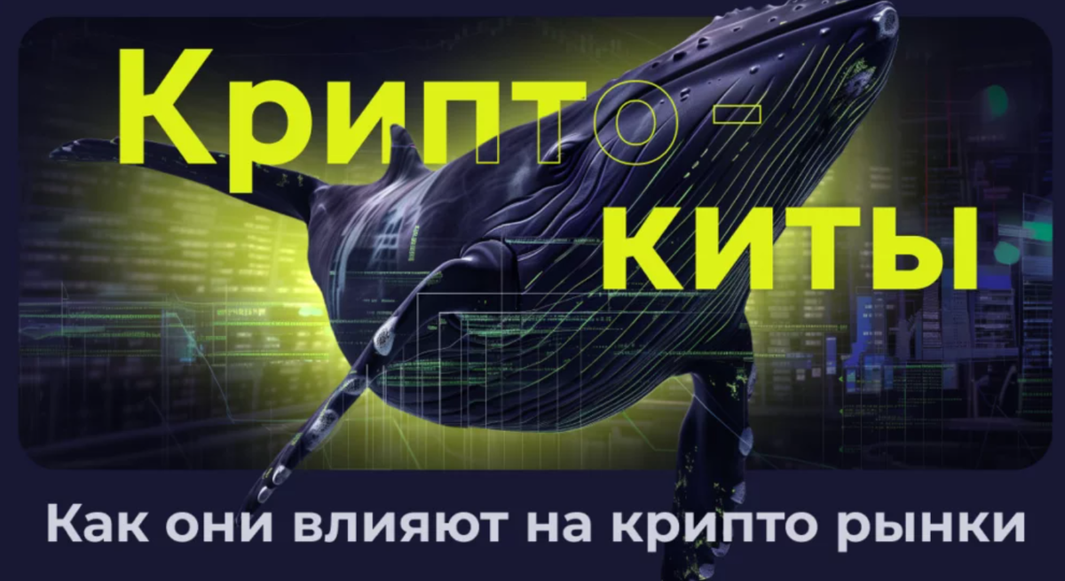 Кто такие крипто-киты и как они манипулируют рынком