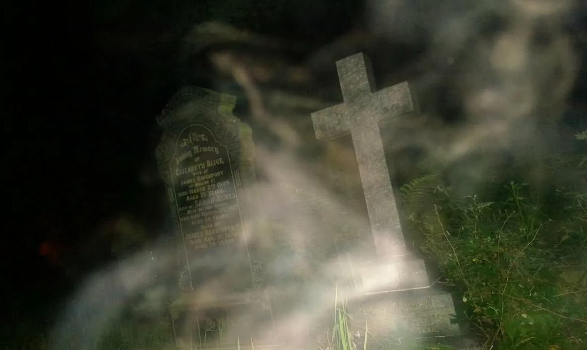 Картинка из свободных источников интернет