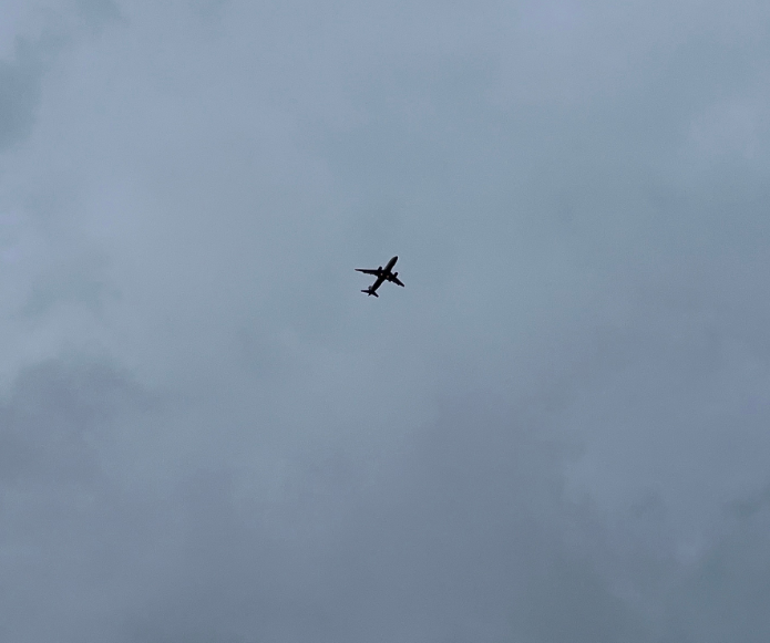    Анастасия Шарова