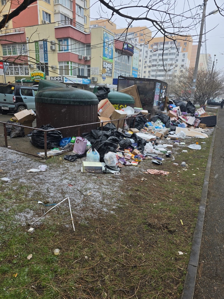 Фото: Юлия Банщикова