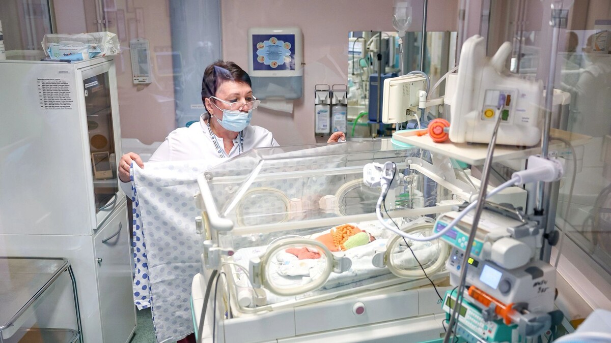    Фото: Андрей Ткачев/«Ямал-Медиа»