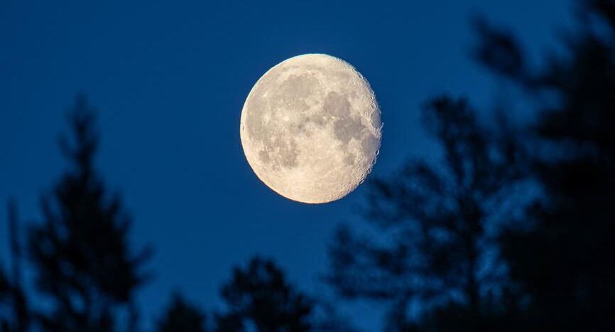    Данил Хусаинов / Фотобанк Лори