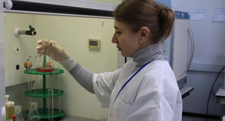    Российские производители импортозамещают масло из виноградной косточки