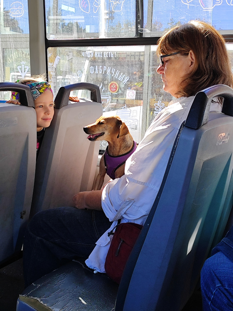 Вместе - веселее! (сентябрь 2024 года)