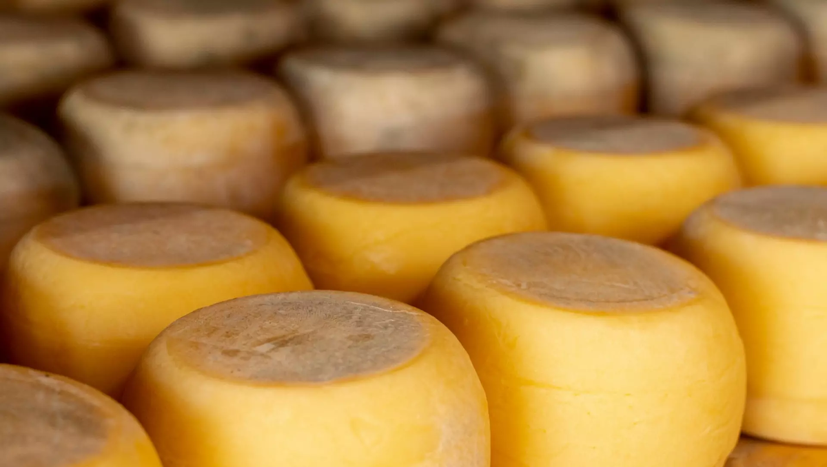 Фото: freepik.com. Сыр
