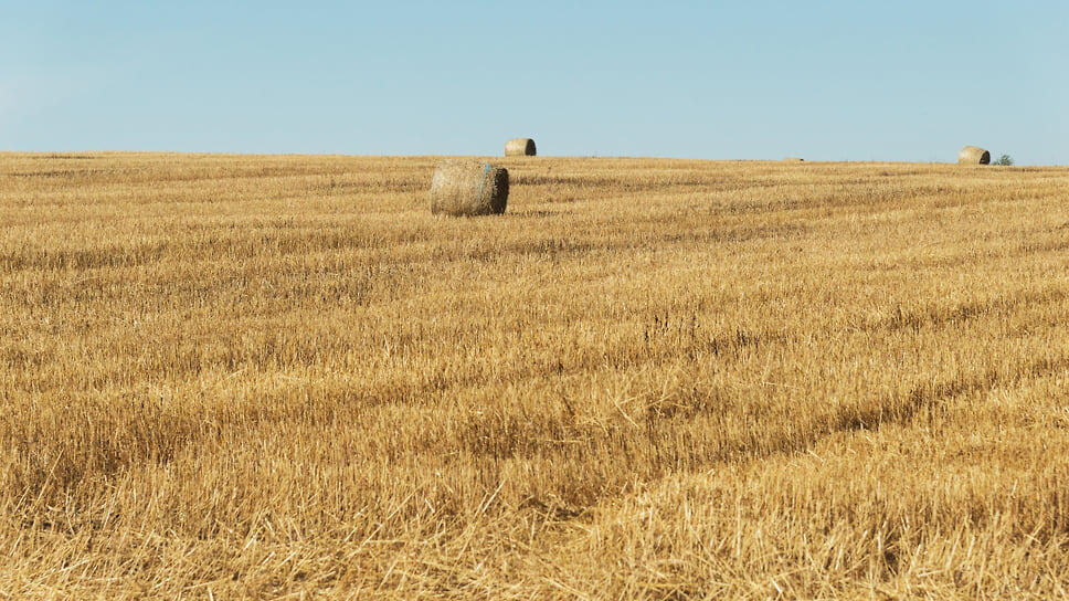 Фото: Игорь Елисеев / Коммерсантъ