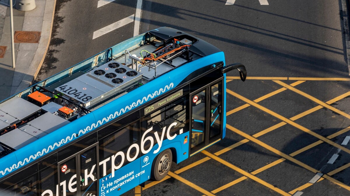    Фото: NickolayV/Shutterstock/Fotodom