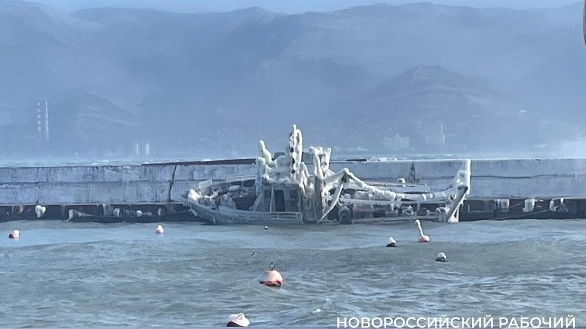    Фото: газета «Новороссийский рабочий»