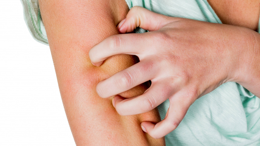    Фото: www.globallookpress.com/IMAGO/Zoonar.com/Erwin Wodicka