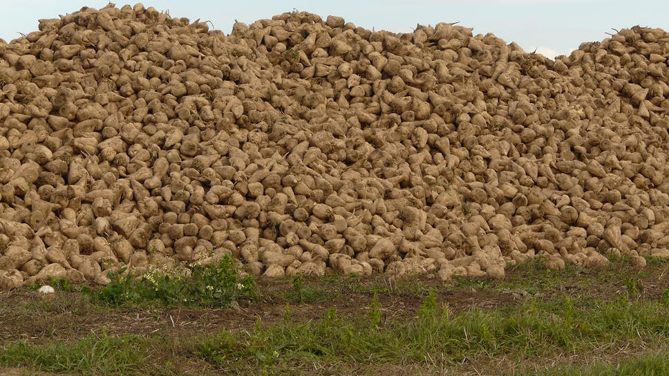 Фото: pxhere.com