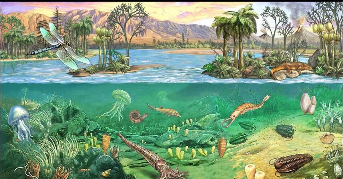 Пример экосистемы