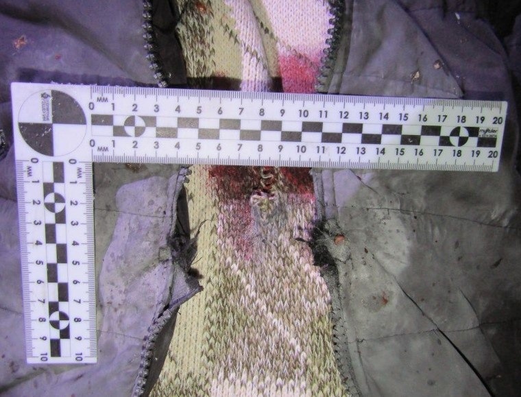    Фото: СК РФ по НСО