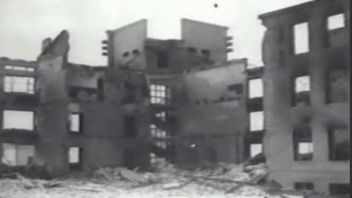    82 года назад советские войска освободили три района Курской области