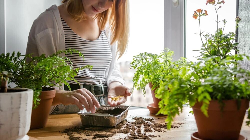    Фото: Shyntartanya/Shutterstock/Fotodom