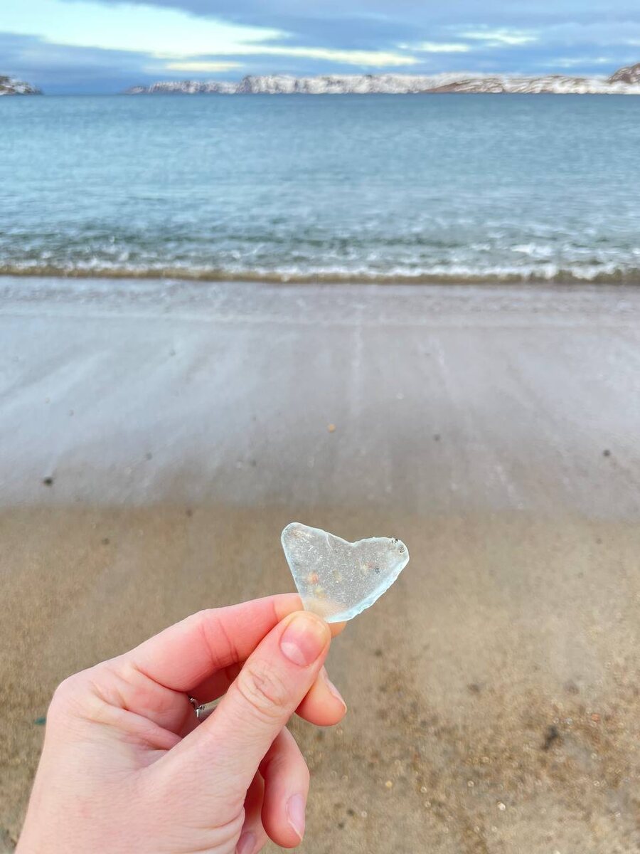 Сердце Арктики