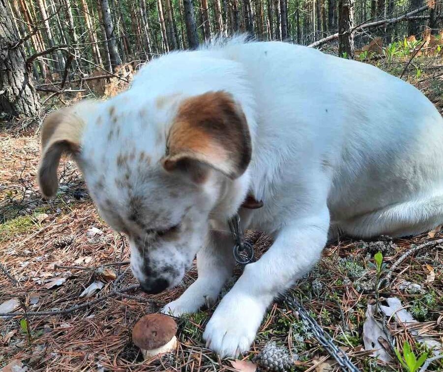 Автор фото Игорь Т.