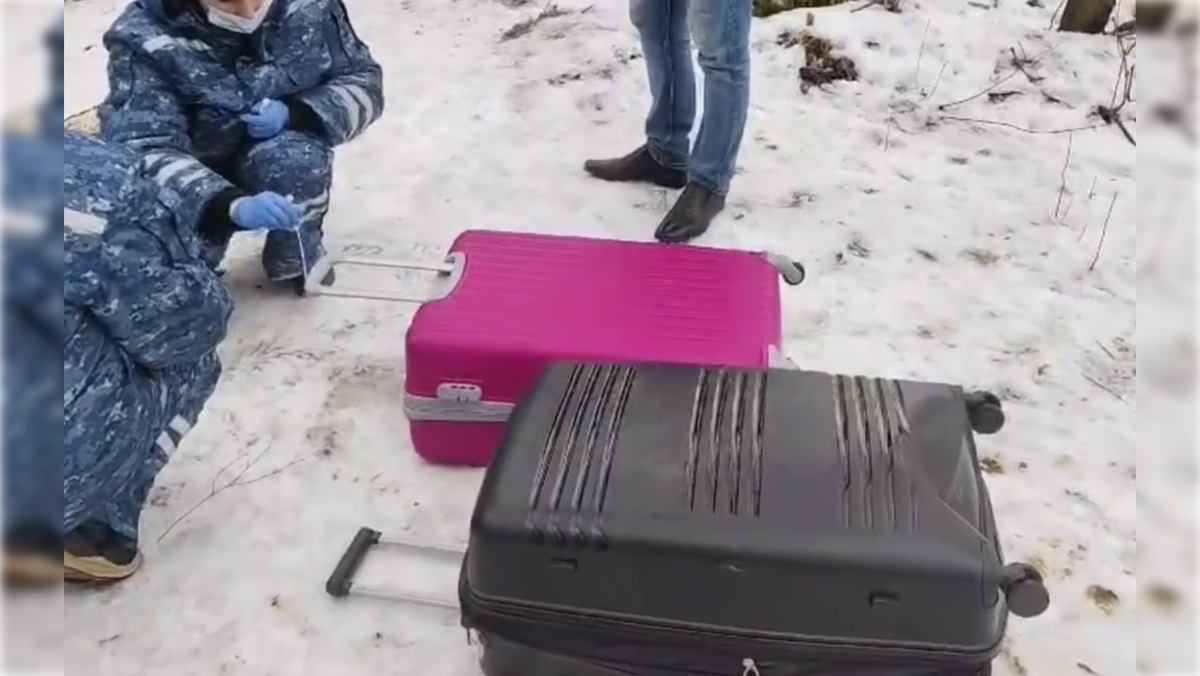 Фото: t.me/gsuskrf_spb