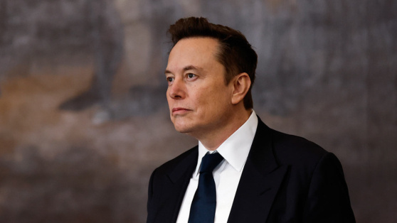    Маск предложил Зеленскому уехать с Украины и получить амнистию в другой стране Татьяна Сидорова