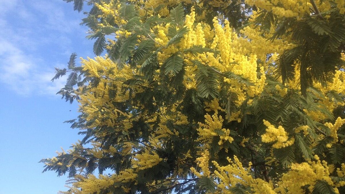    Фото: телеканал «Краснодар»