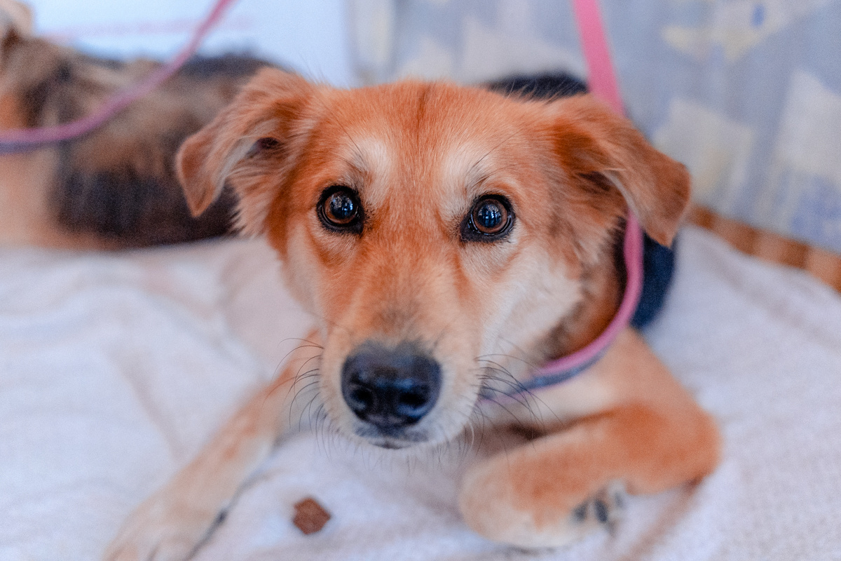 Фото: Геннадий Дьячук