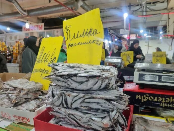 До конца 90-х годов в Каспии, в том числе с дагестанского побережья ловили около 200 тыс. тонн трех видов кильки ежегодно. // Фото: Анастасия Расулова