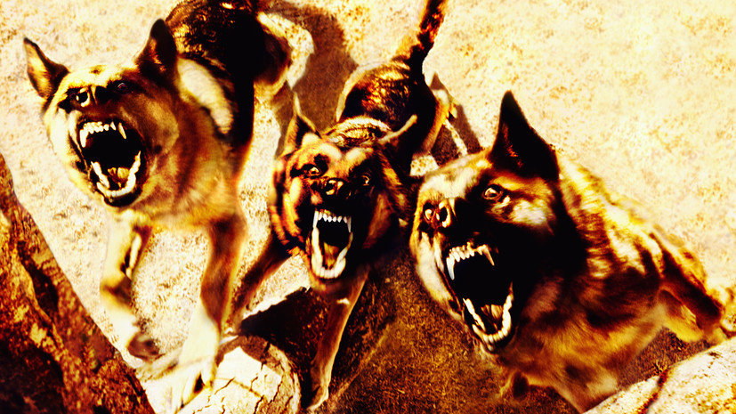   Gettyimages.ru John Lund