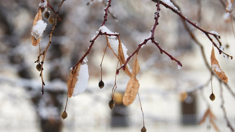 Источник: Freepik