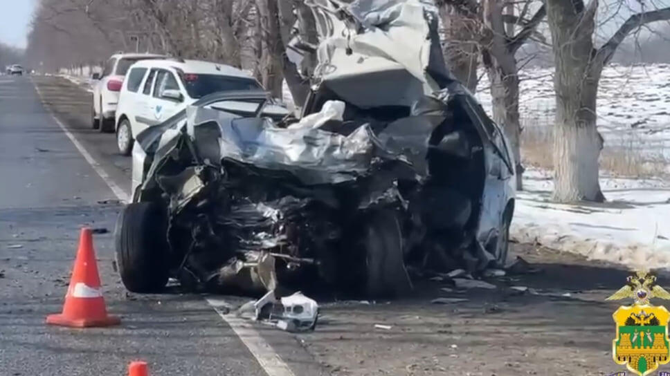 Фото: скриншот из видео ГУ МВД России по Краснодарскому краю