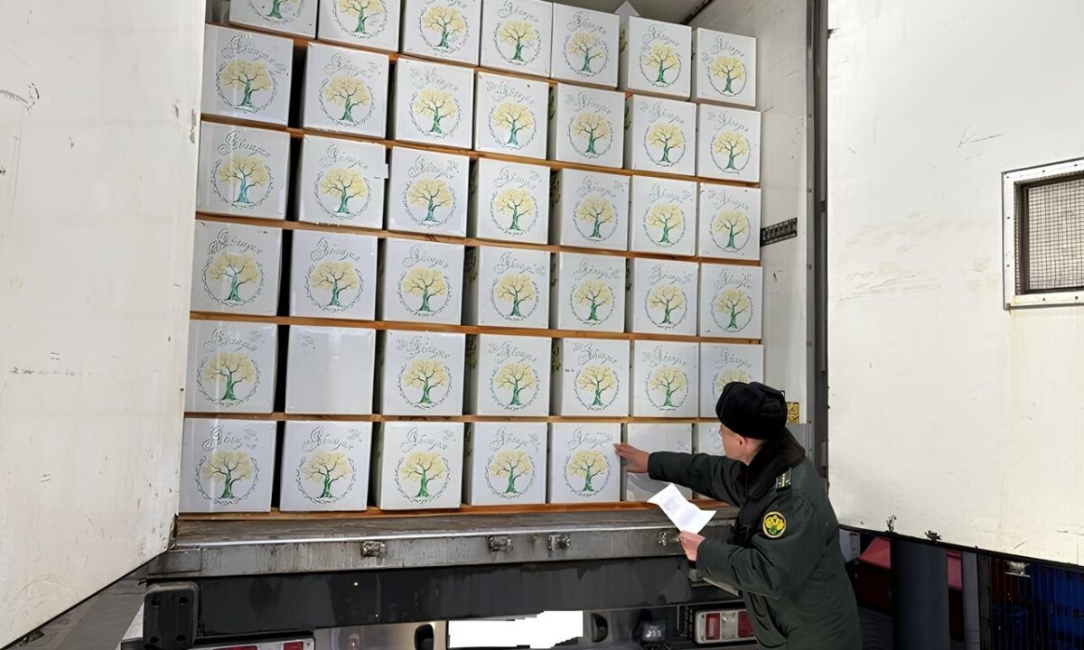    Фото пресс-служба Южного таможенного управления