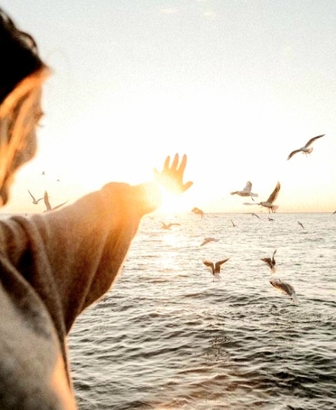 Фото из галереи