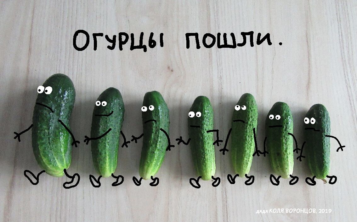 Из открытых источников.