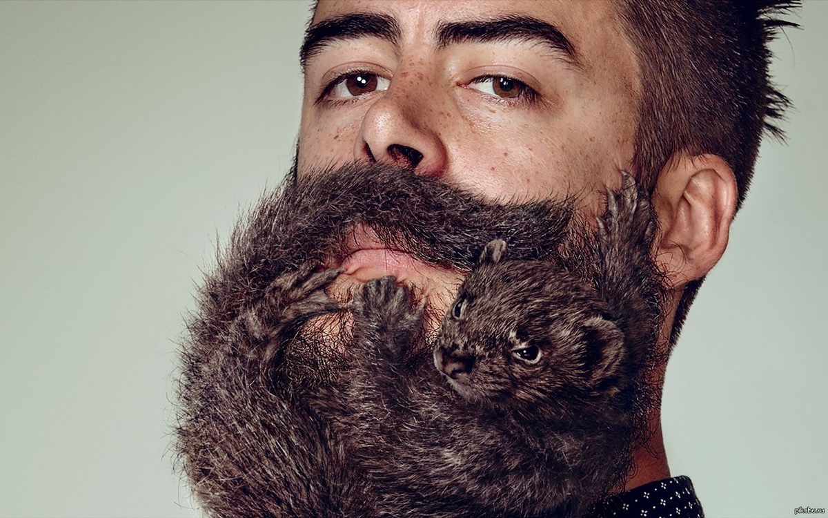 источник Яндекс-картинки